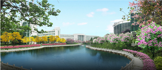 图片包含 树, 水, 户外, 天空自动生成的说明